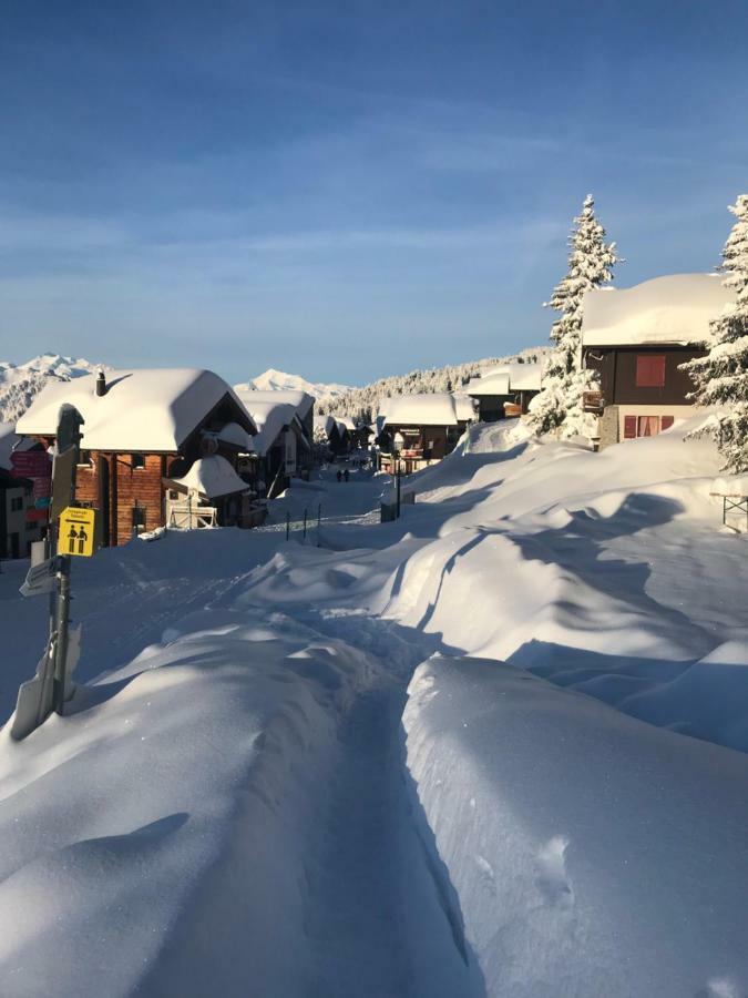 Hotel Alpfrieden Бетмералп Екстериор снимка